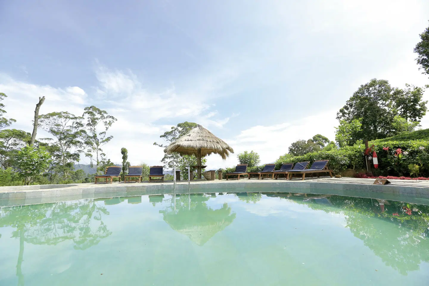 98 Acres Resort & Spa OUTDOOR_POOL