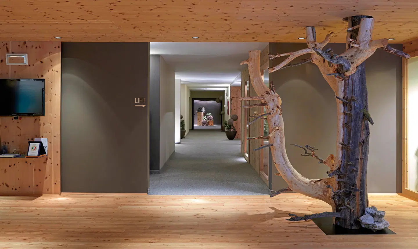 Arosea Life Balance Hotel LOUNGE_LOBBY