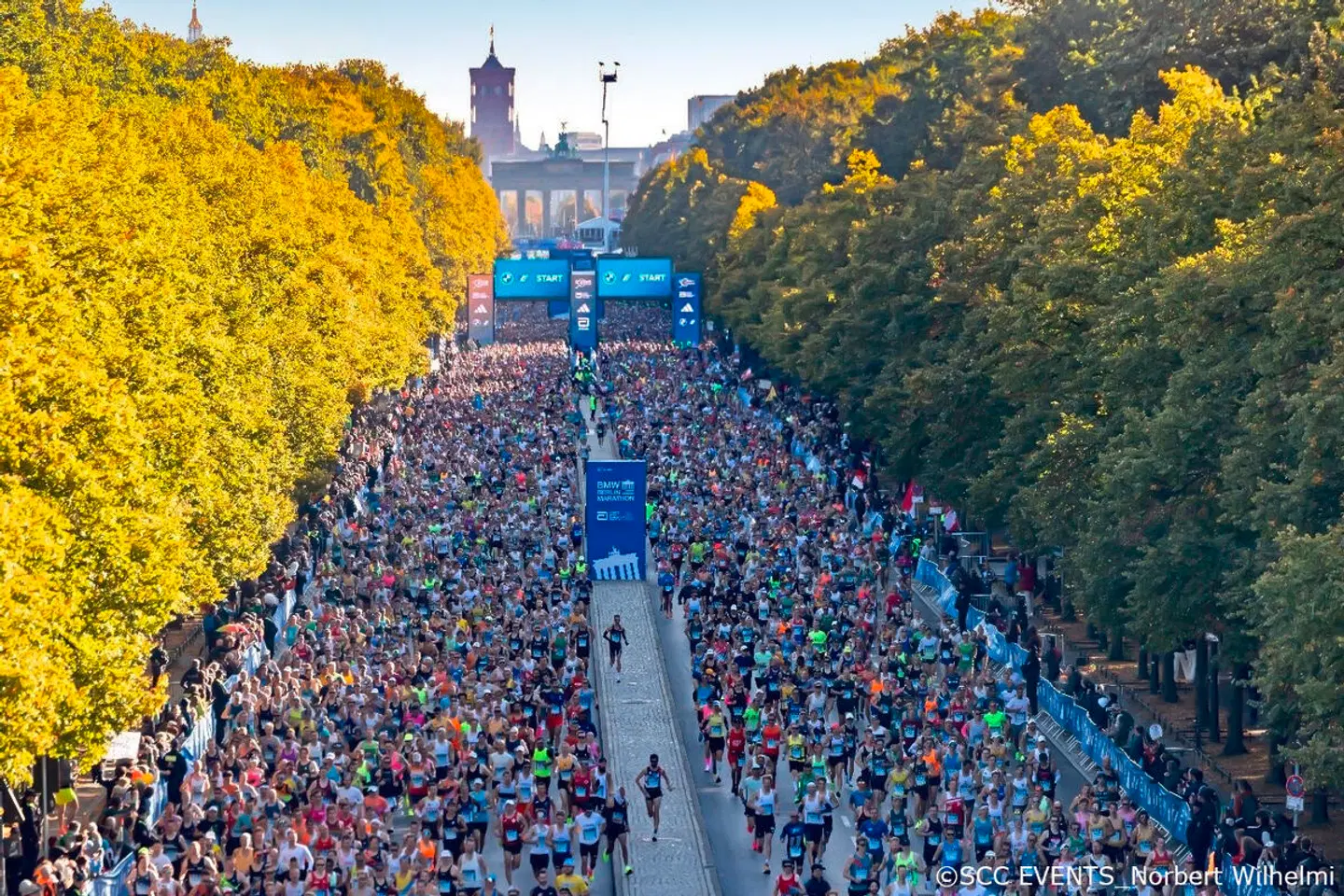 Monbijou Hotel - inkl. 1 Startnummer Berlin Marathon LANDSCAPE