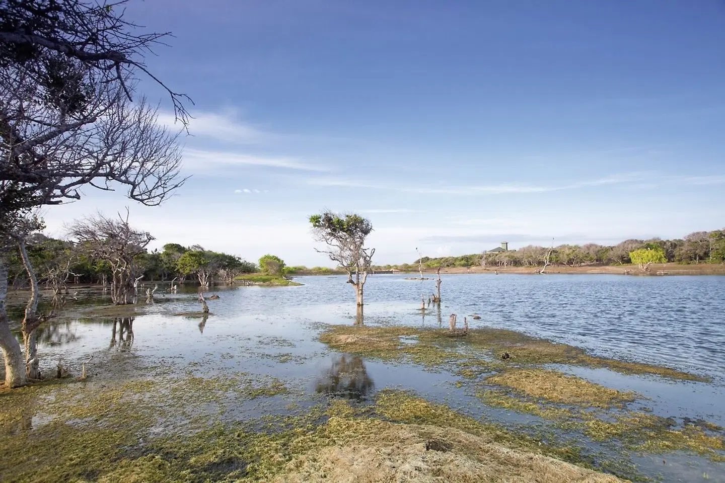 Uga Chena Huts Garten