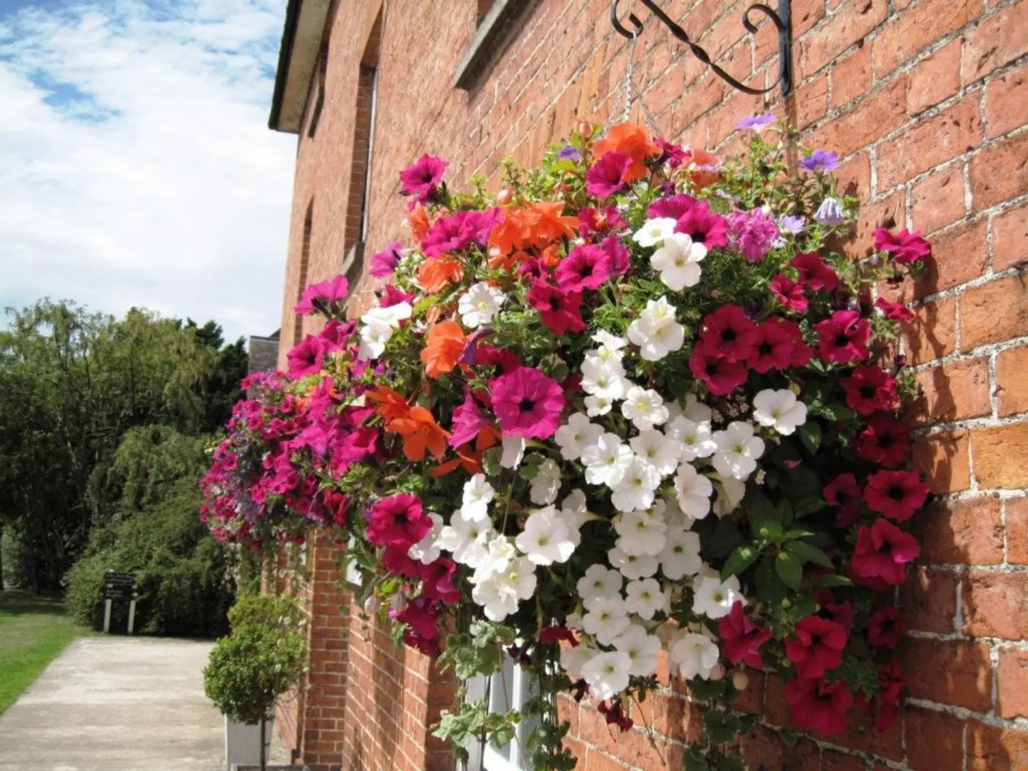 The Clive Arms EXTERIOR