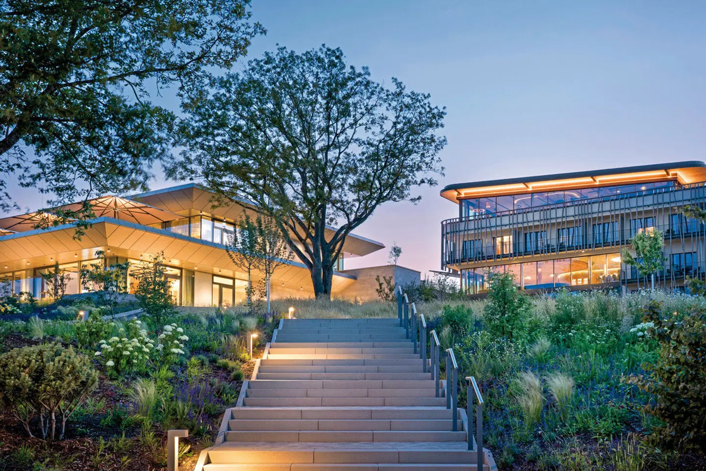 WALD.WEIT Rheingau Hotel & Retreat EXTERIOR