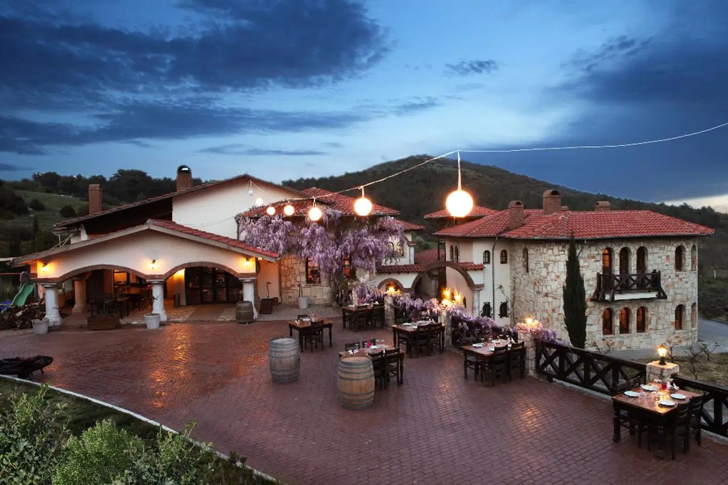 Vinifera Vineyards Hotel Terrasse
