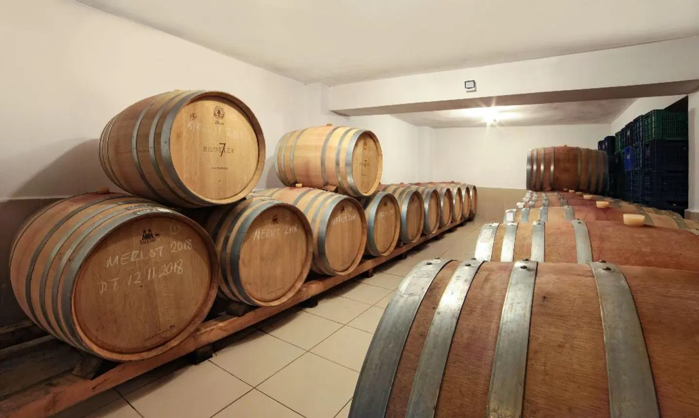 Vinifera Vineyards Hotel Konferenz