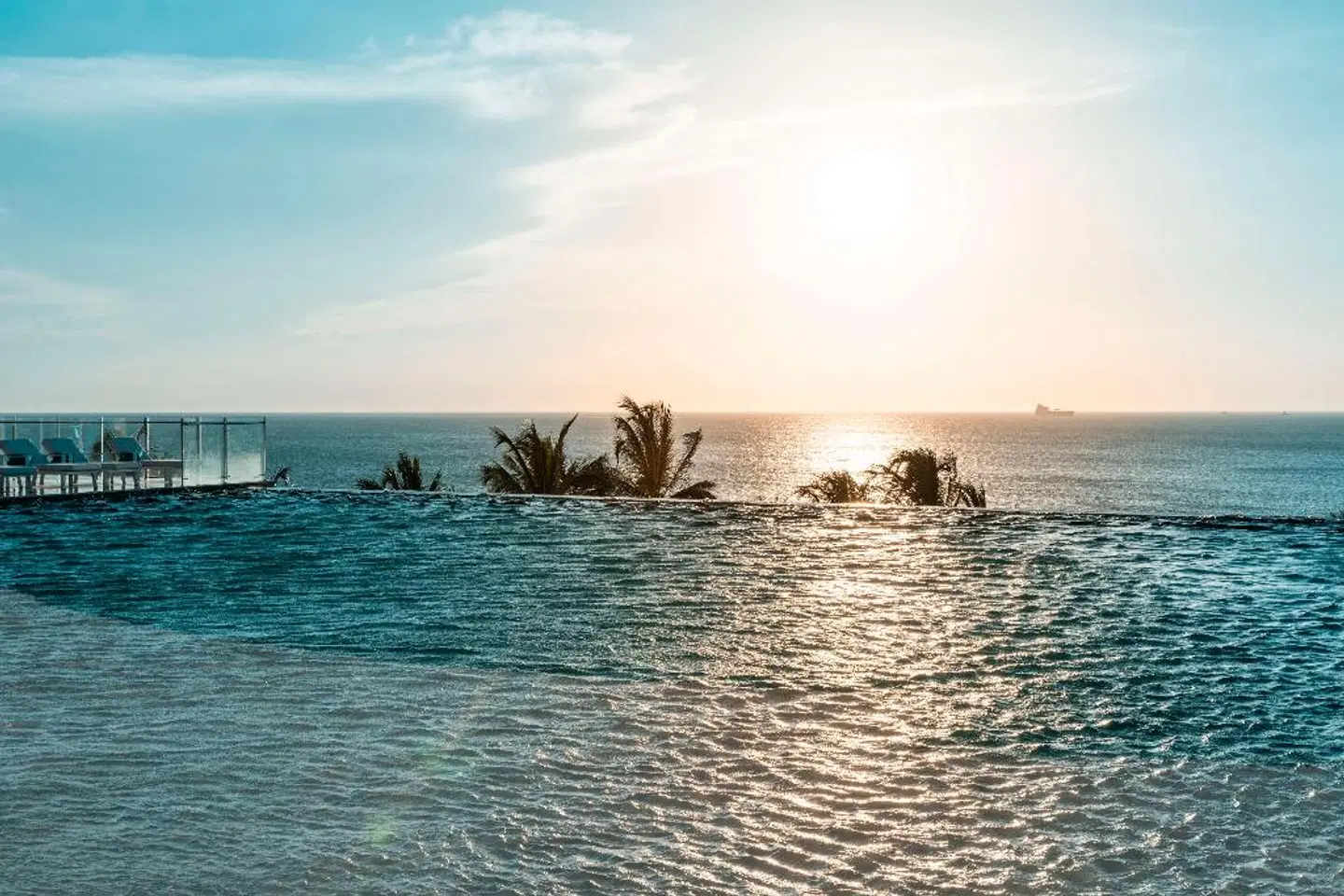 Hilton Santa Marta Tiere