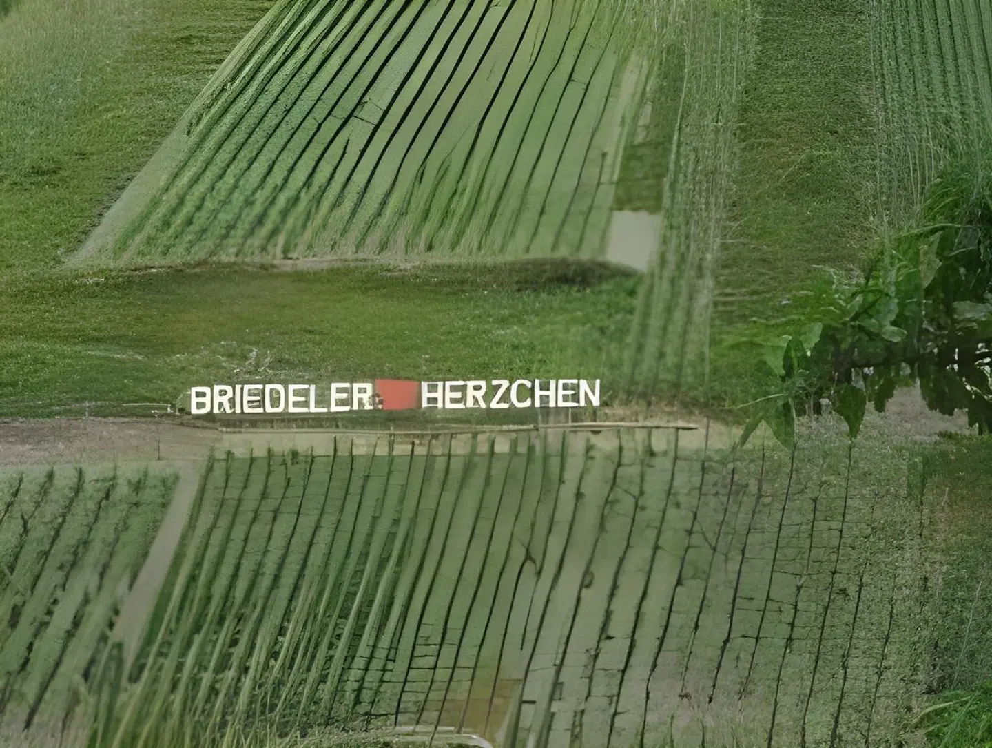 Weingut-Gästehaus Karl Otto Nalbach LOUNGE_LOBBY