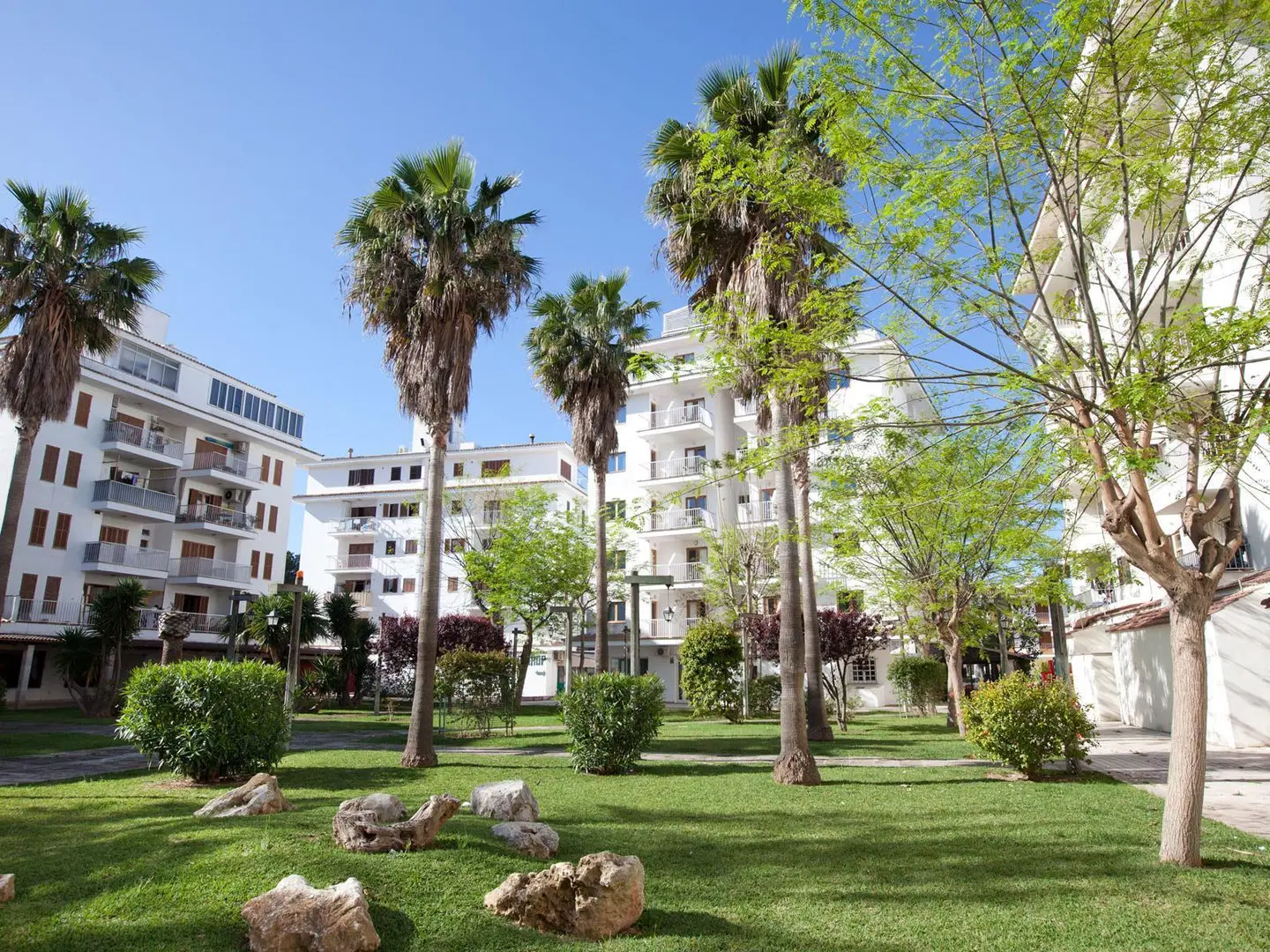 Lime Tamarindos EXTERIOR