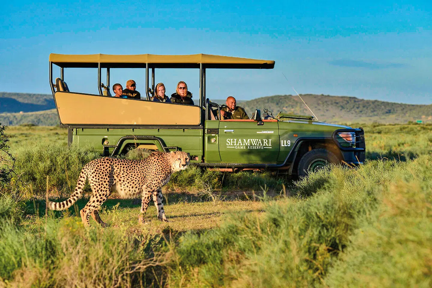 Sarili Private Lodge Tiere