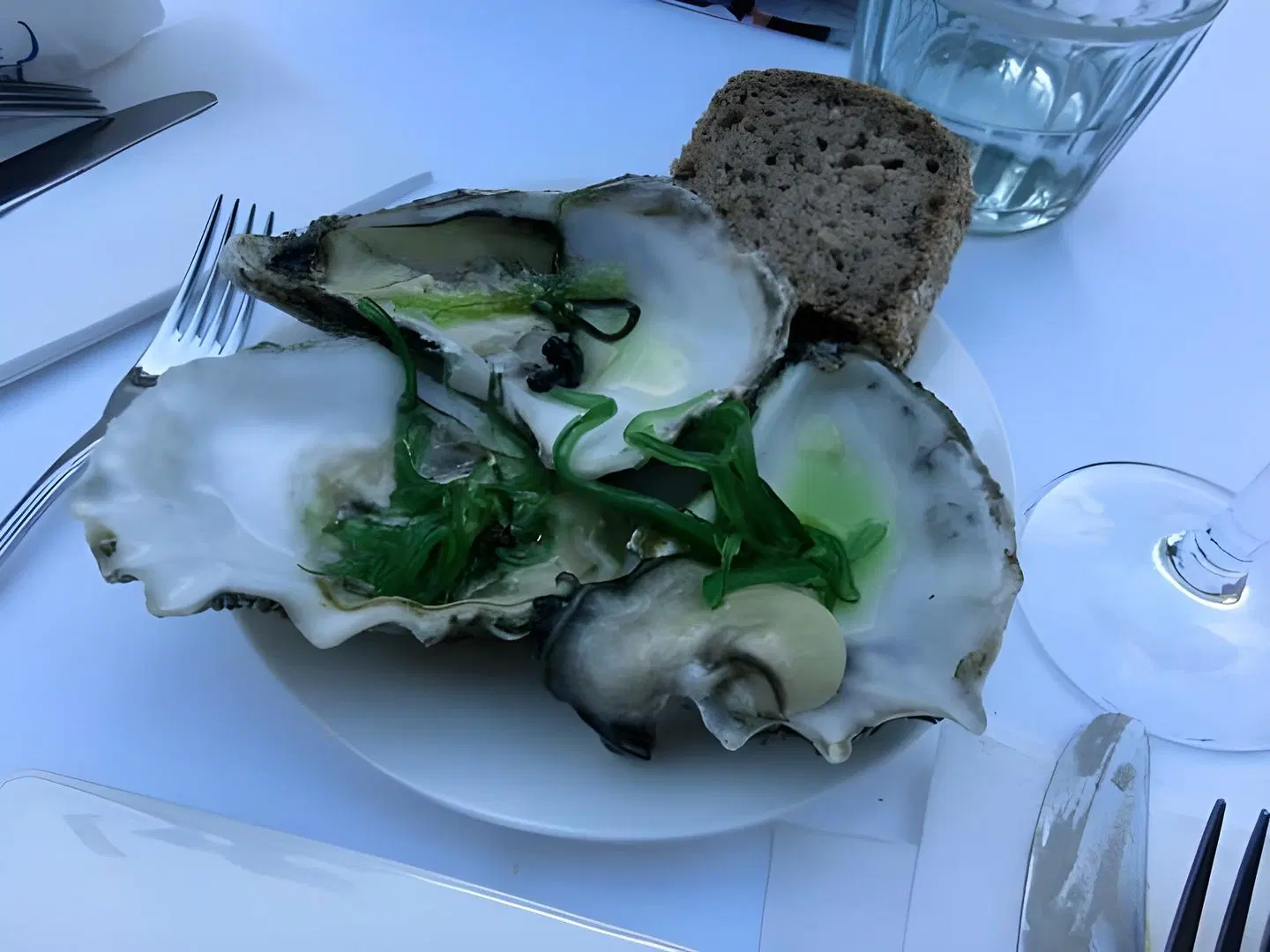 Hessischer Hof Tiere