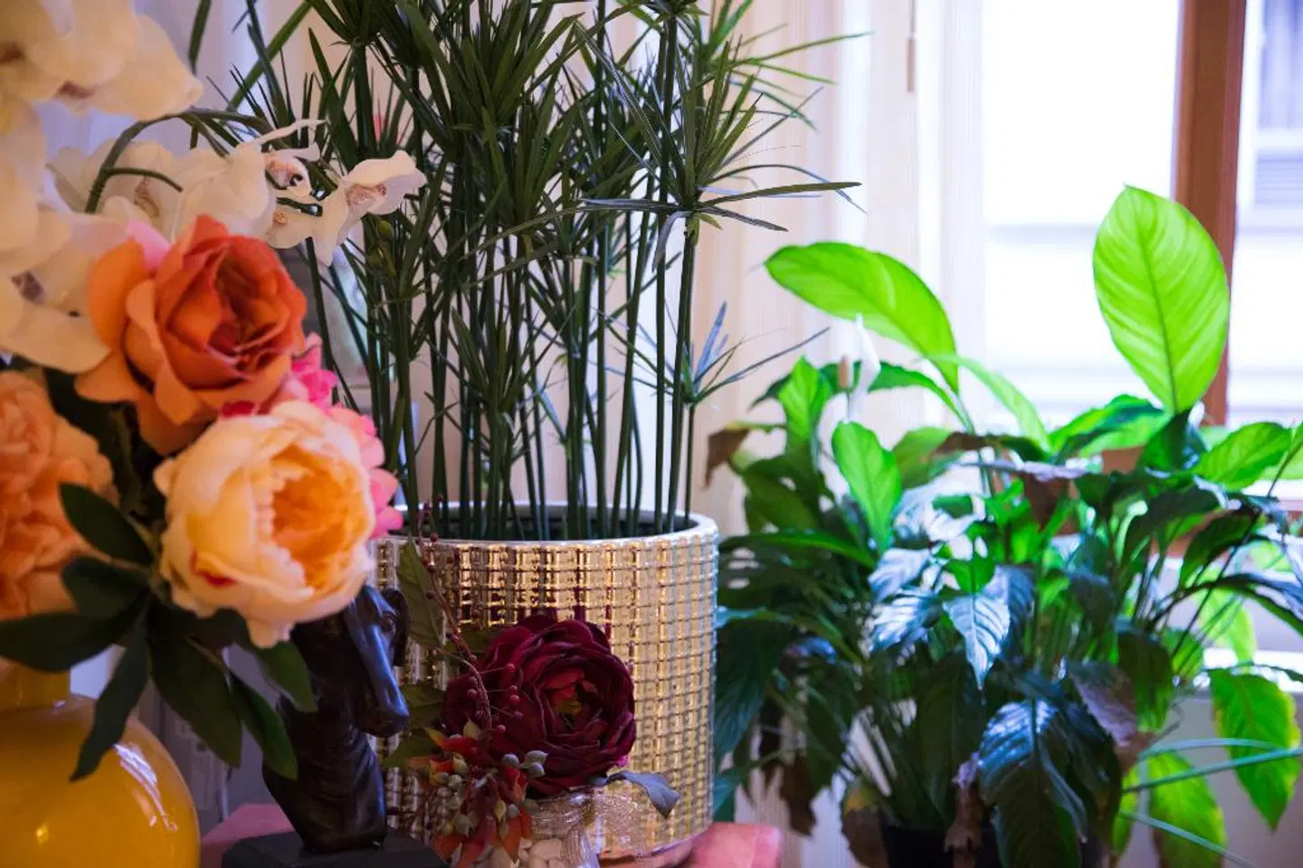 Maxim Axial Hotel PEOPLE