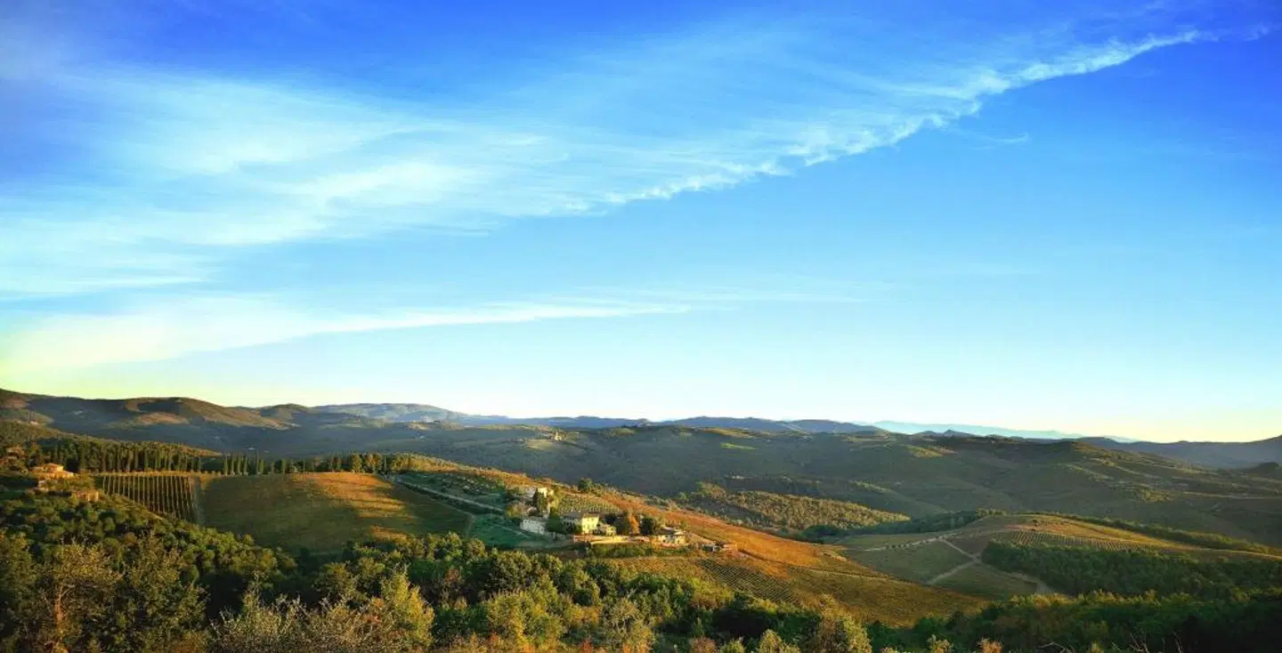 Villa Dievole LANDSCAPE