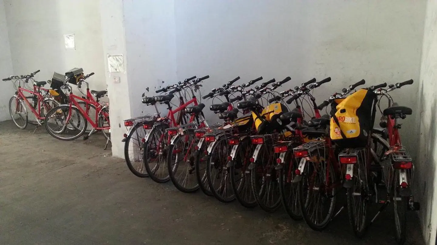 Minerva SPORTS_AND_LEISURE