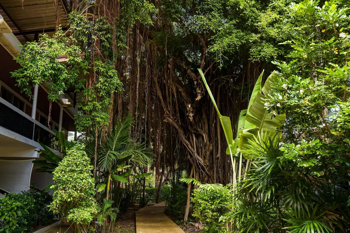 4U Resort Samui Garten