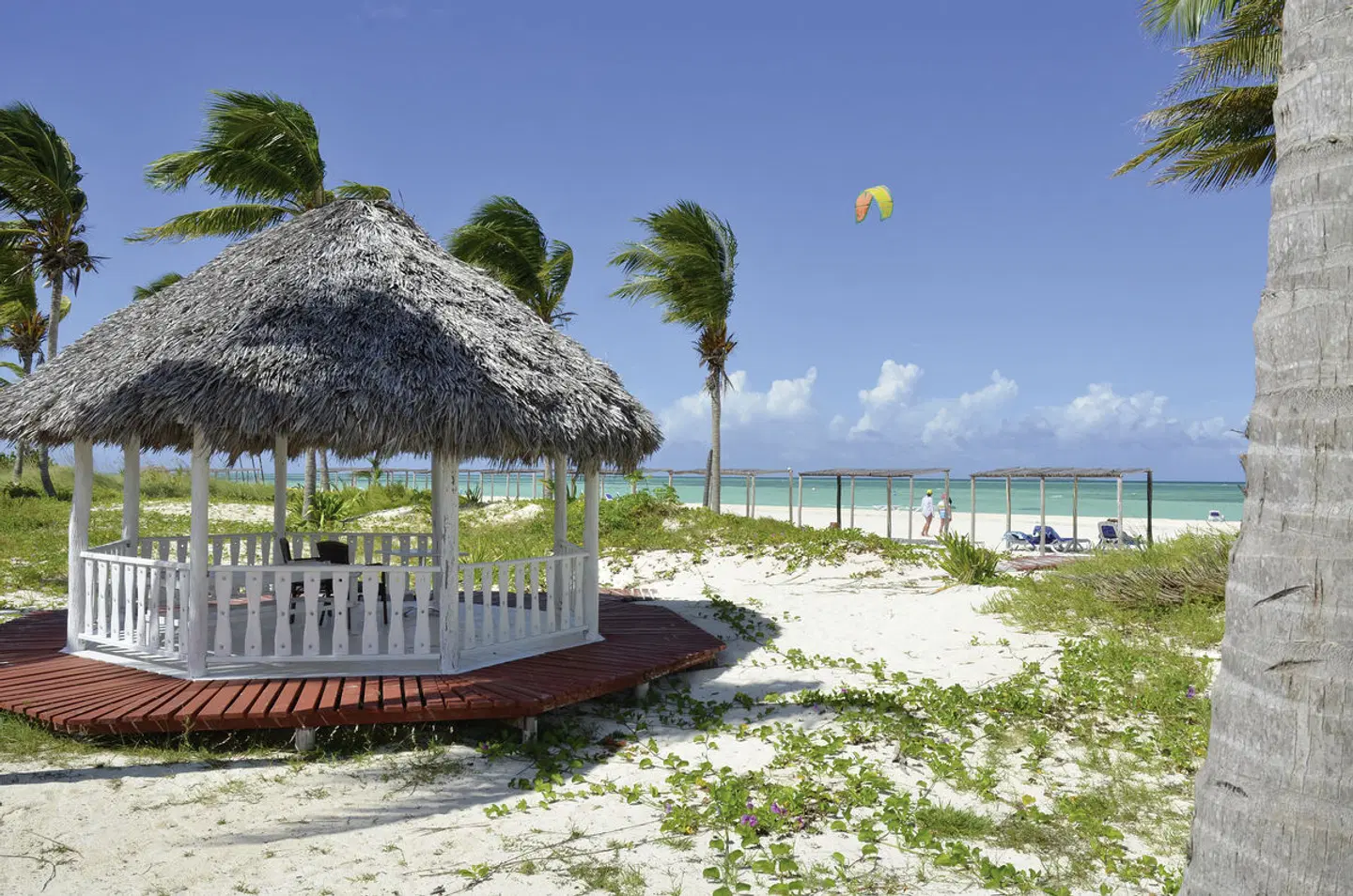 Starfish Cayo Guillermo Strand