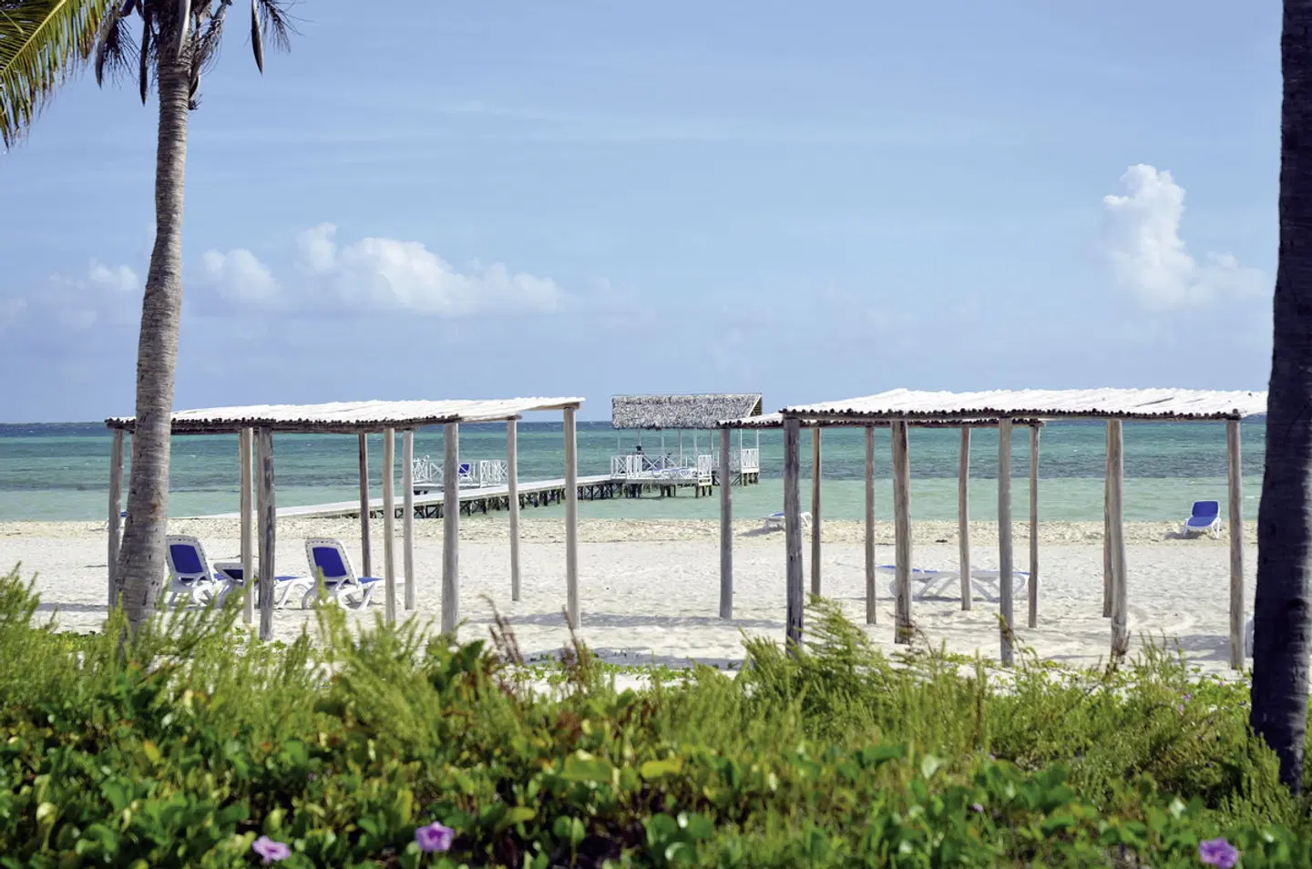 Starfish Cayo Guillermo Terrasse