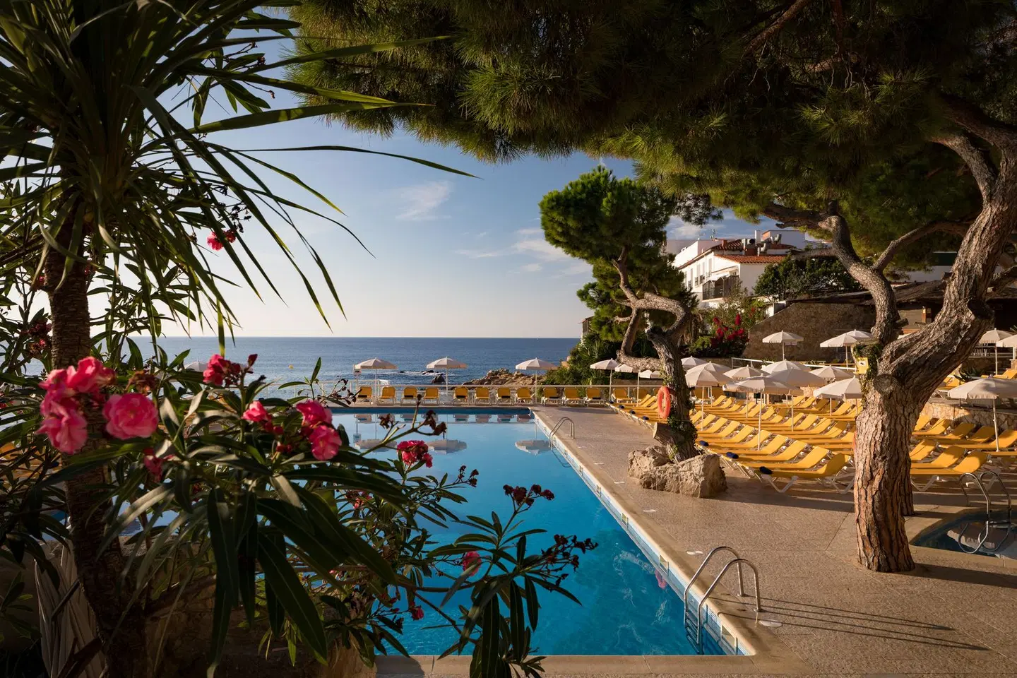 H Top Caleta Palace OUTDOOR_POOL