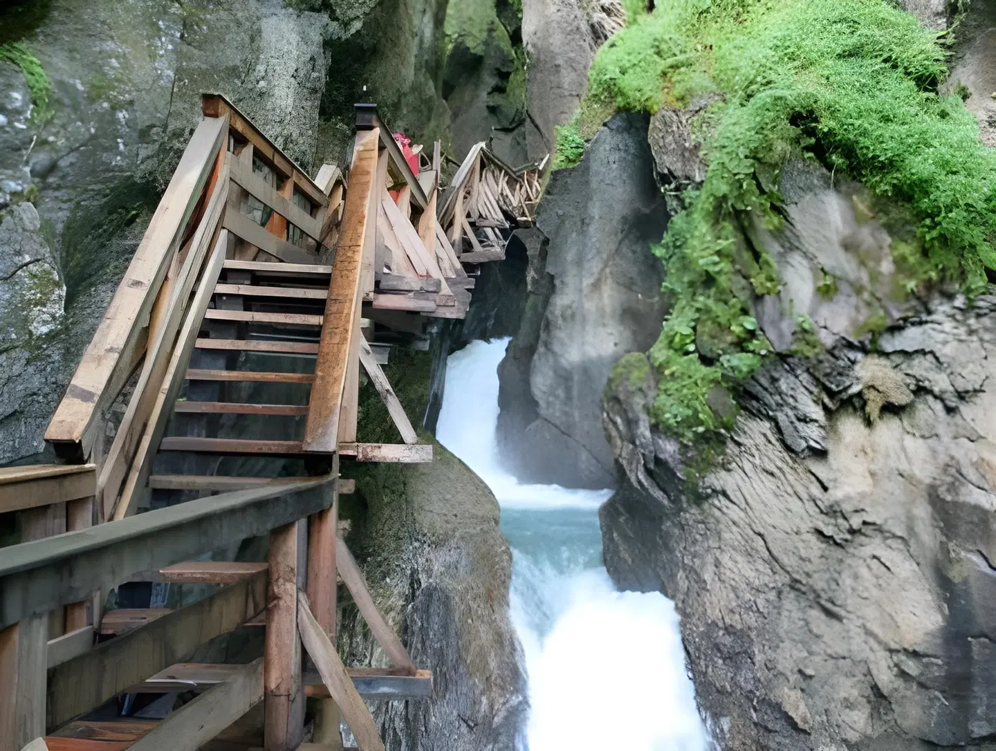 Apartmenthaus Griesser Tiere