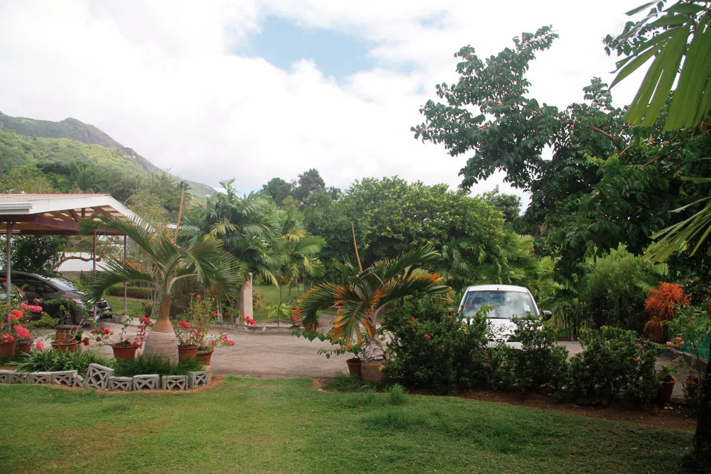 Daniella's Bungalows Garten