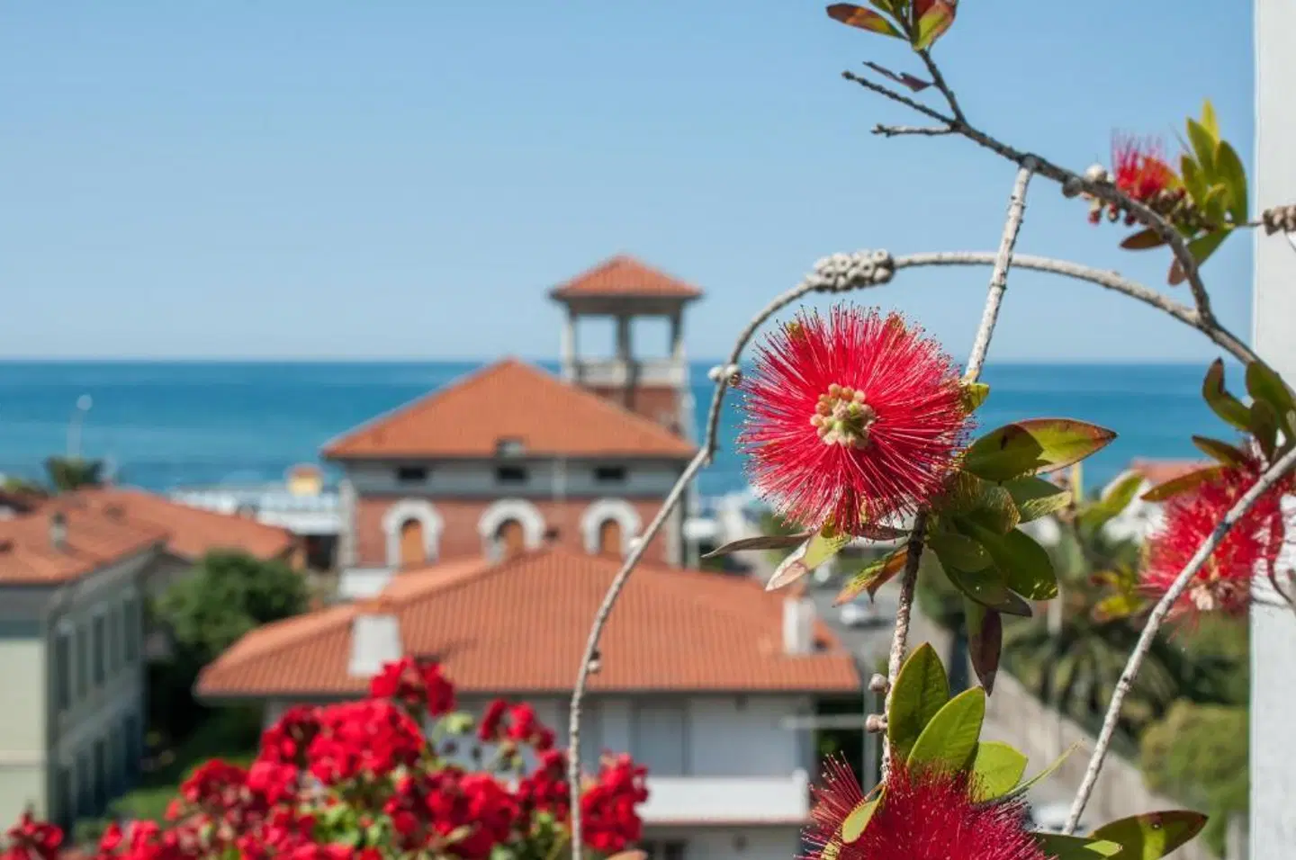 Scandinavia EXTERIOR