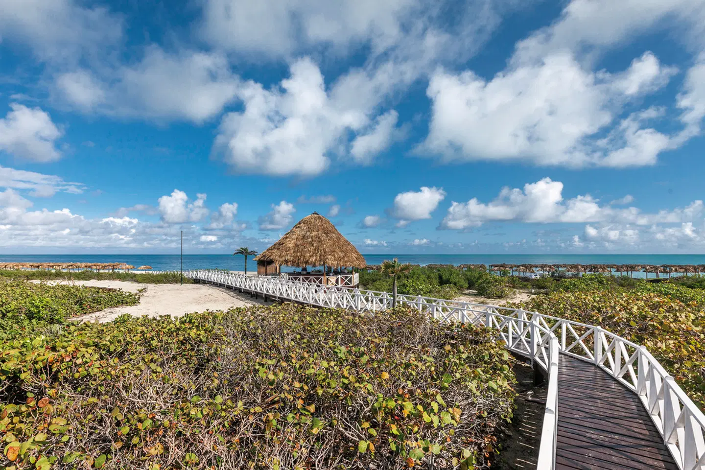 Meliá Cayo Santa Maria LANDSCAPE