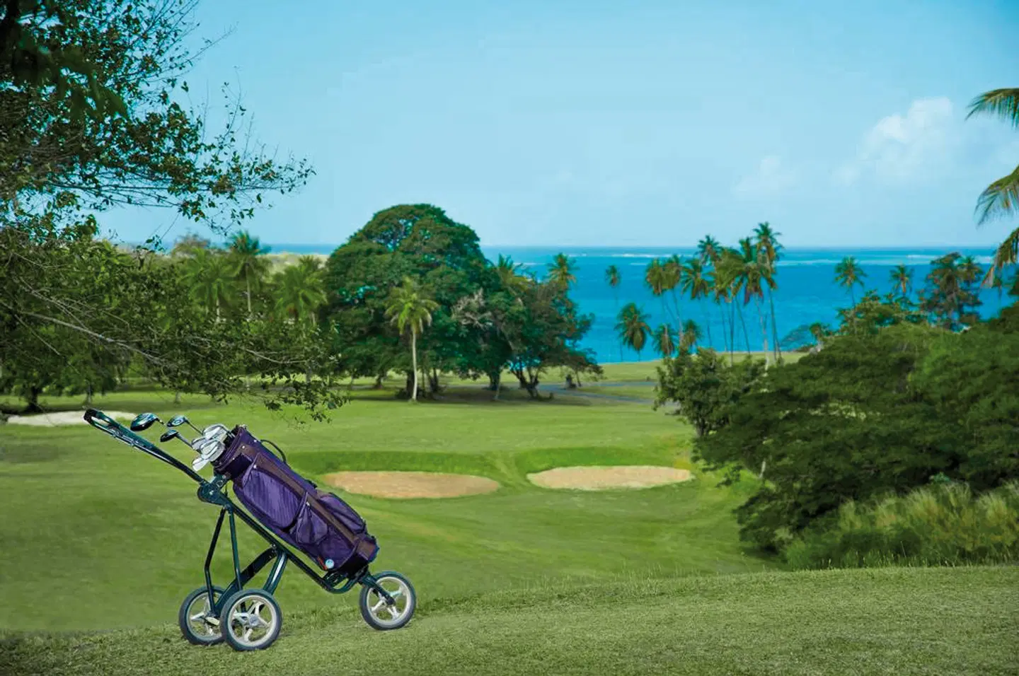 Mount Irvine Bay Resort SPORTS_AND_LEISURE