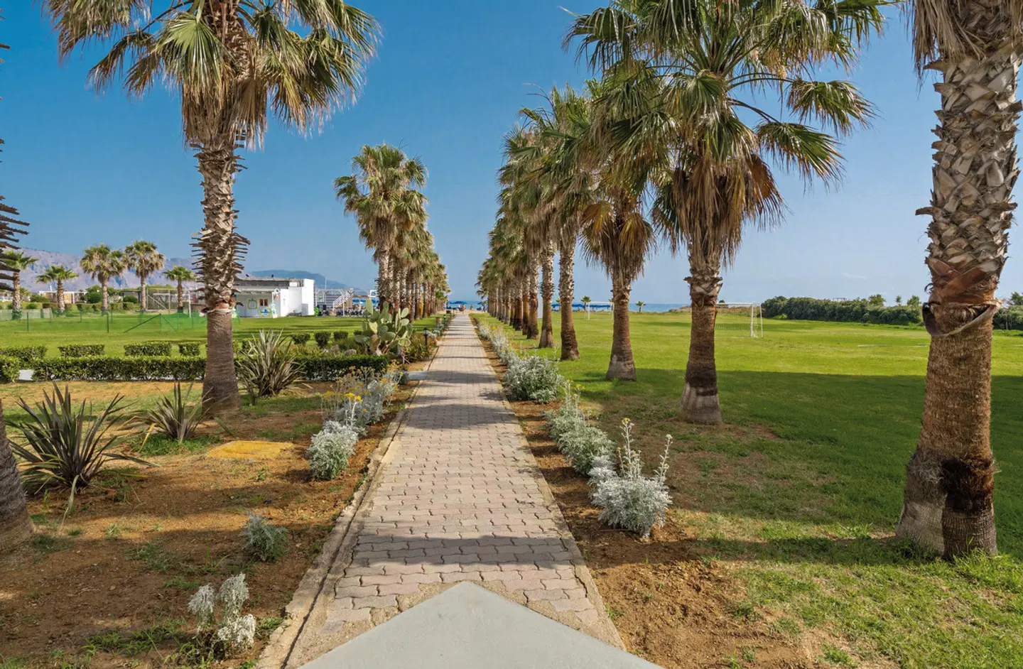 Delfina Tropic Beach Garten