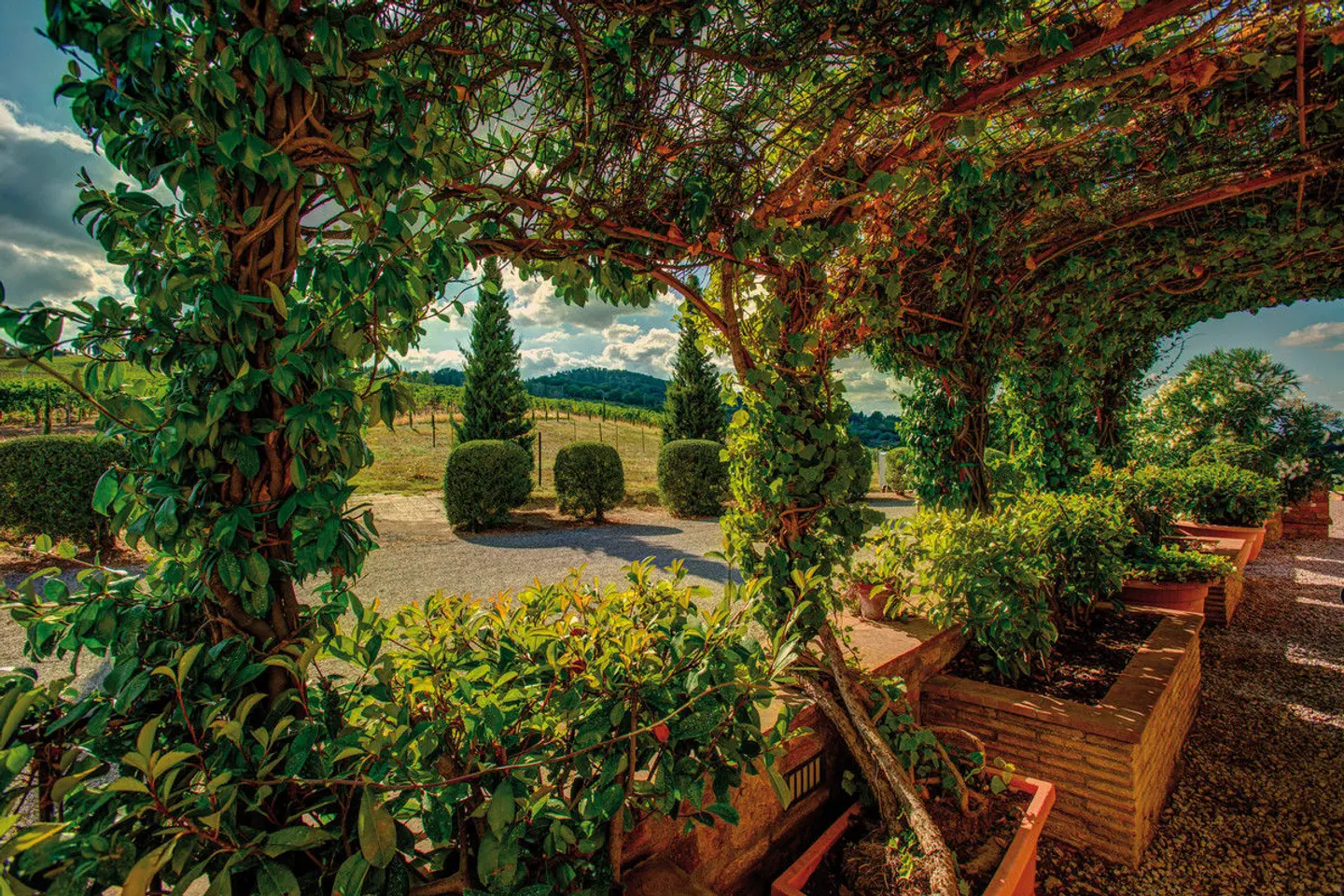 Il Casale del Cotone Garten