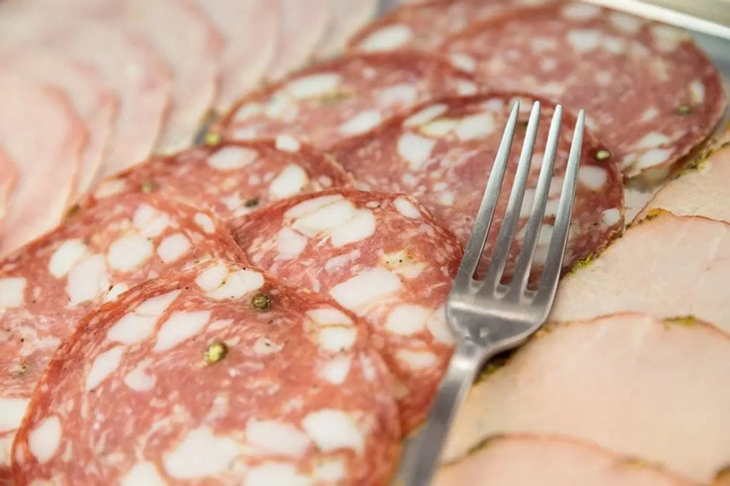 Terminus & Plaza PEOPLE