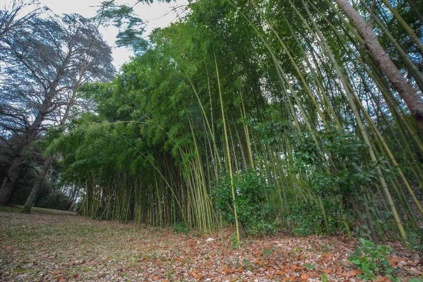 Il Borgo di Villa Castelletti Country Hotel Garten