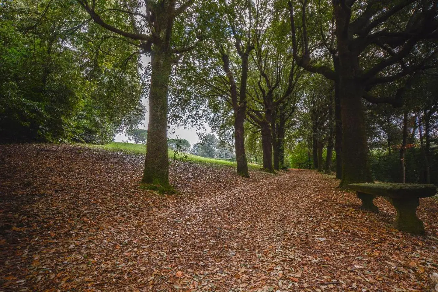 Il Borgo di Villa Castelletti Country Hotel Tiere