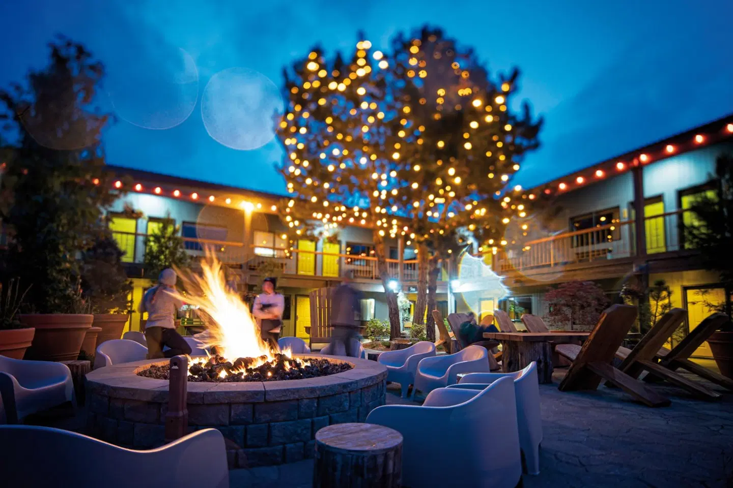 Campfire Hotel Bar