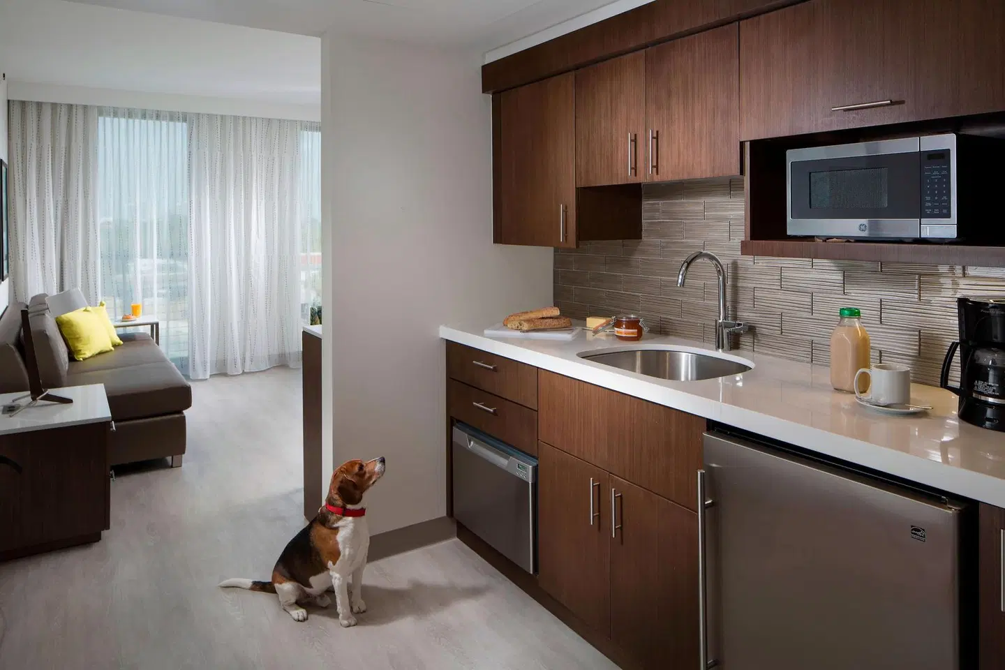 Residence Inn by Marriott Miami Beach South Beach ROOM_EXAMPLE