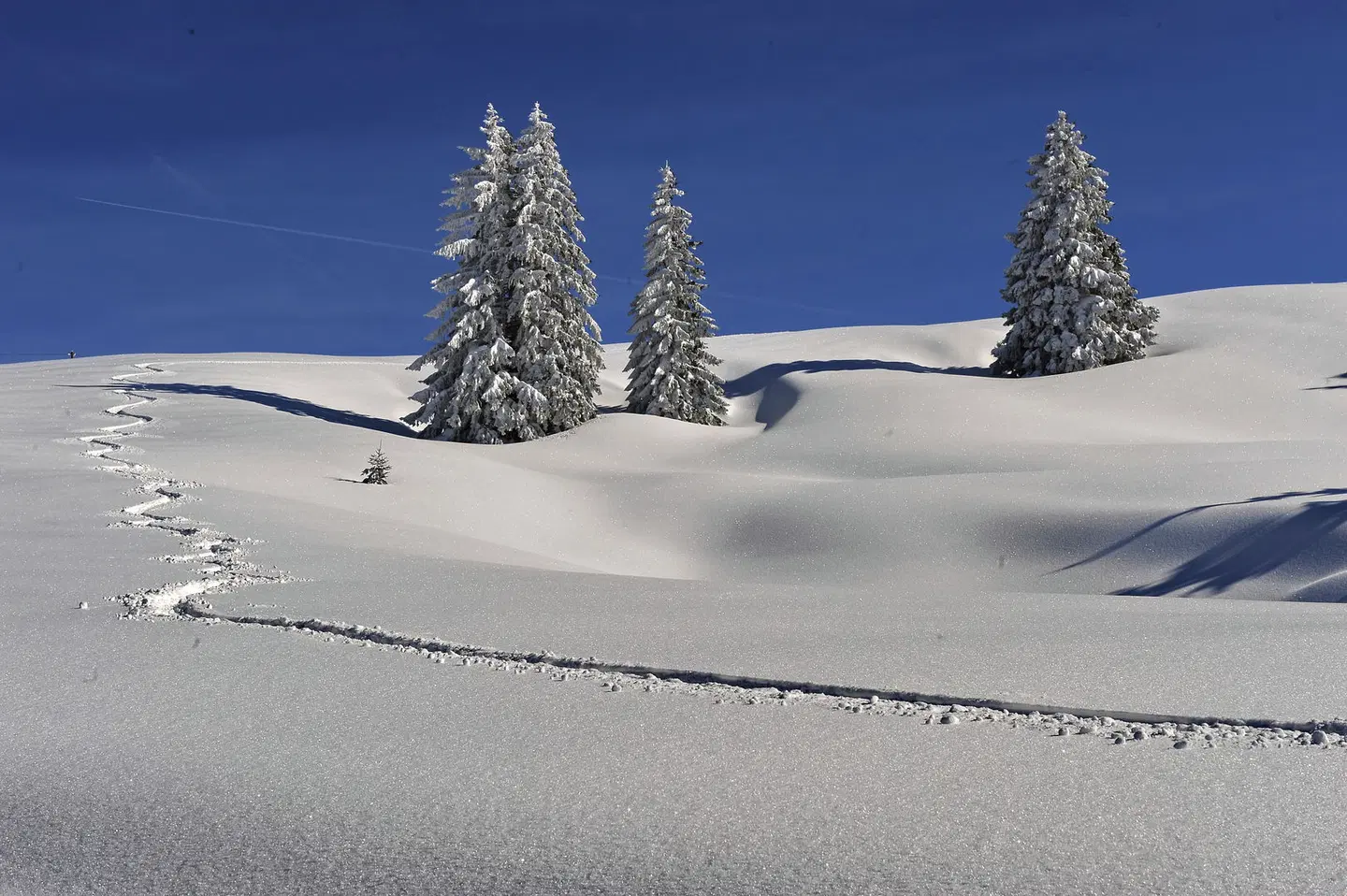 Golf & Alpin Wellness Resort Hotel Ludwig Royal LANDSCAPE