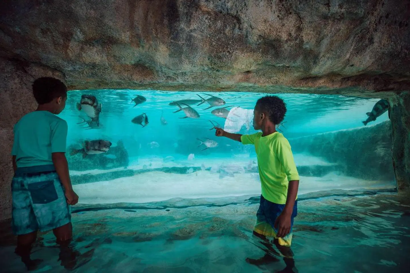 Grand Hyatt Baha Mar Hallenbad