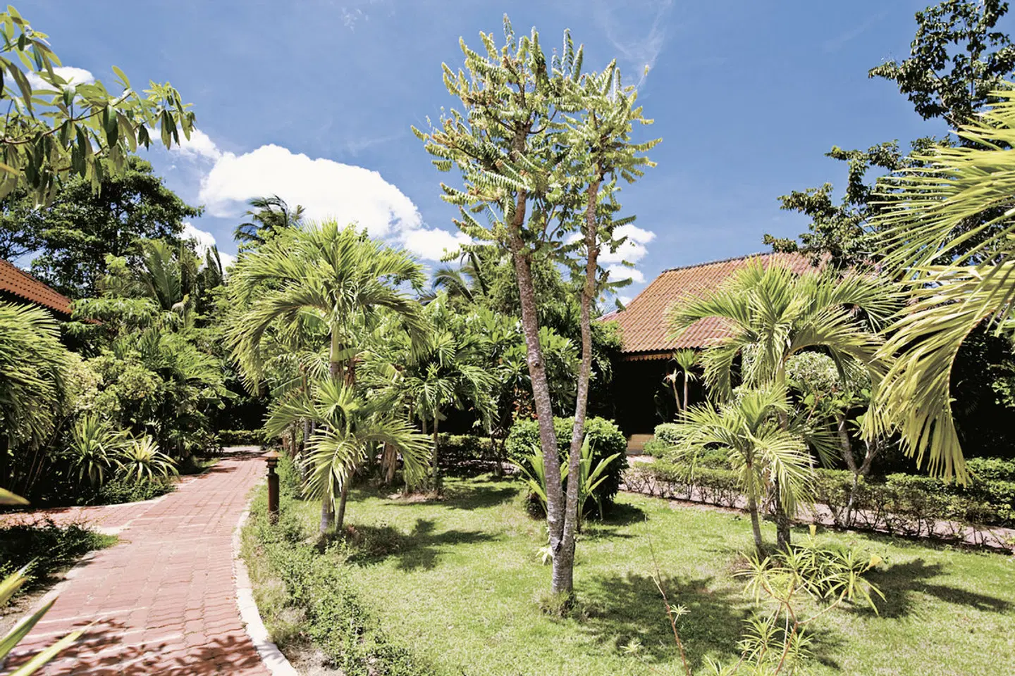 Pinnacle Samui Resort GARDEN