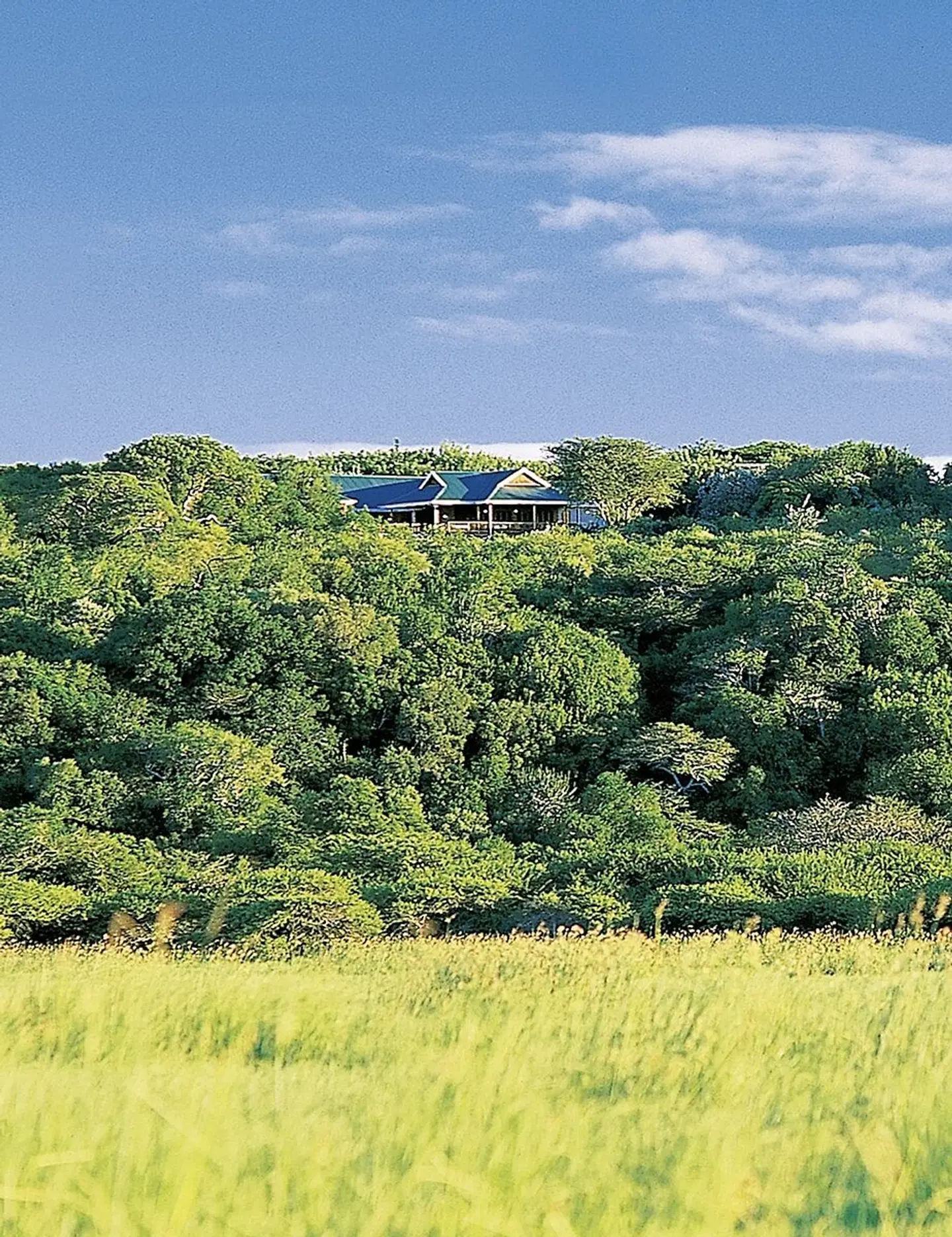 Hluhluwe River Lodge LANDSCAPE
