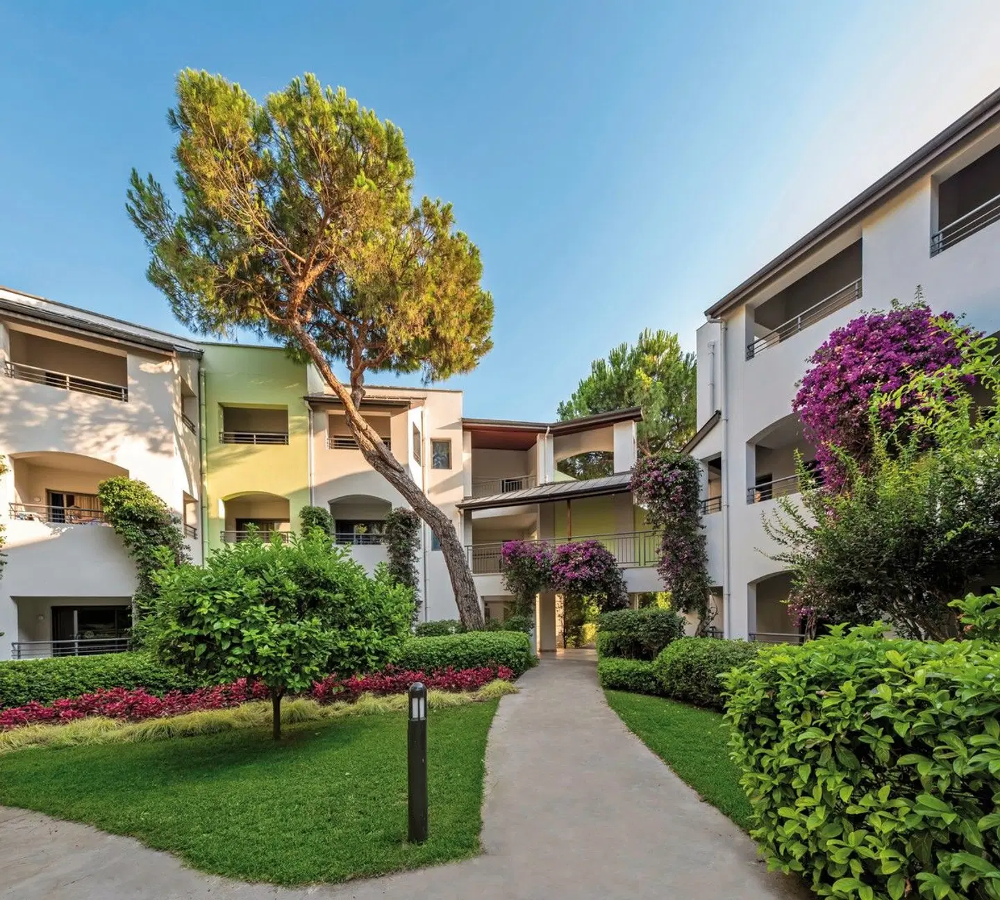 Paloma Sencia EXTERIOR