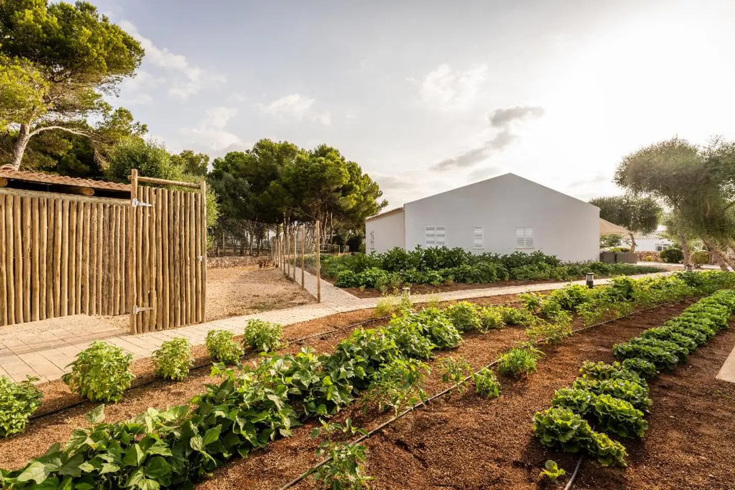 Lago Resort Menorca - Villas & Bungalows del Lago Garten