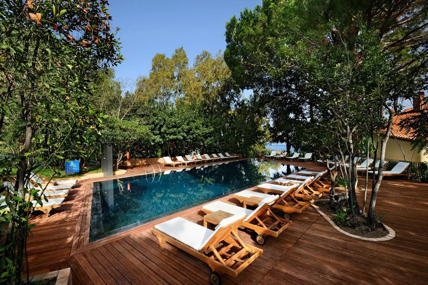 Alberi Del Paradiso Terrasse