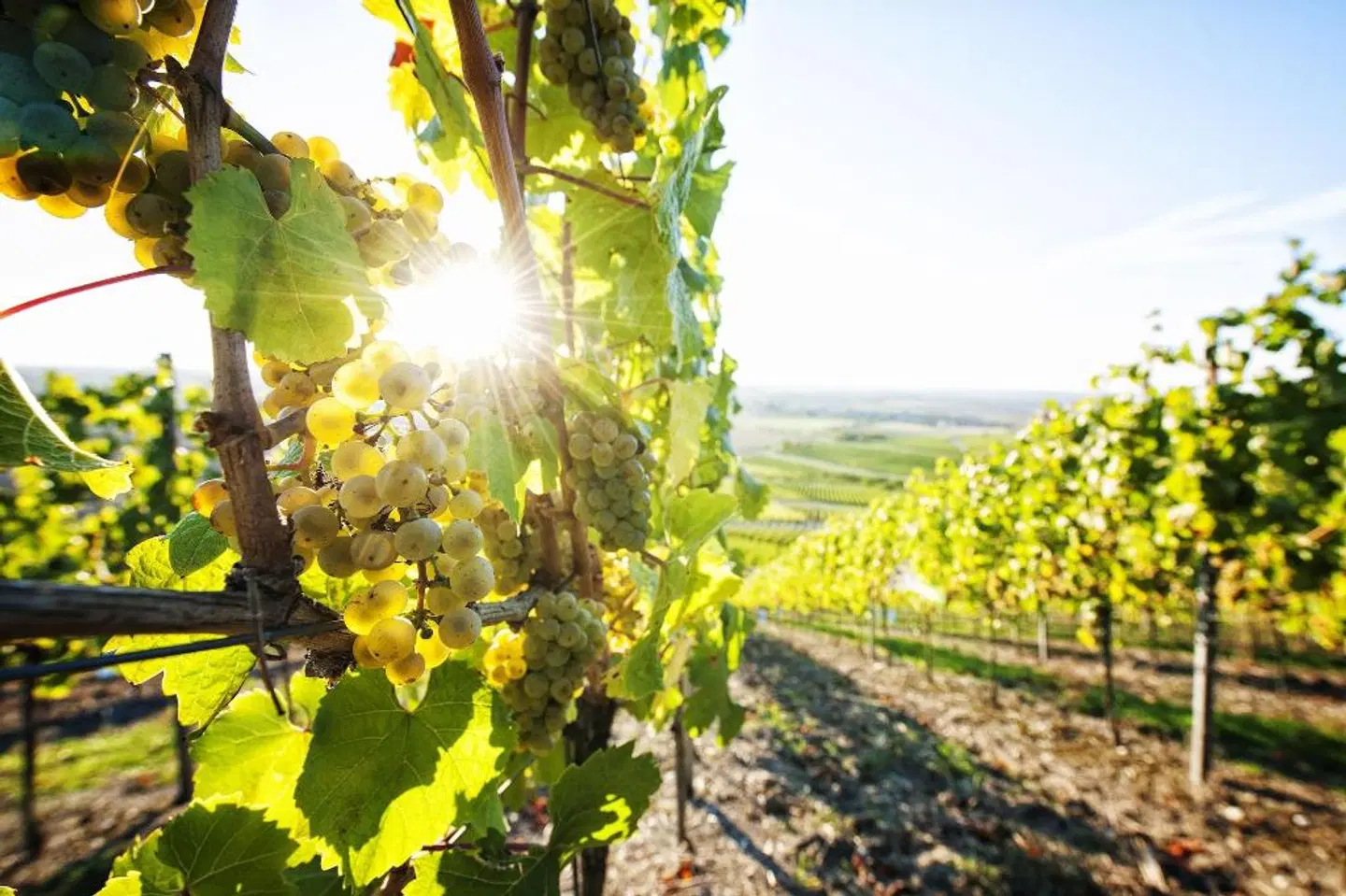 Vital Hotel An Der Therme LANDSCAPE