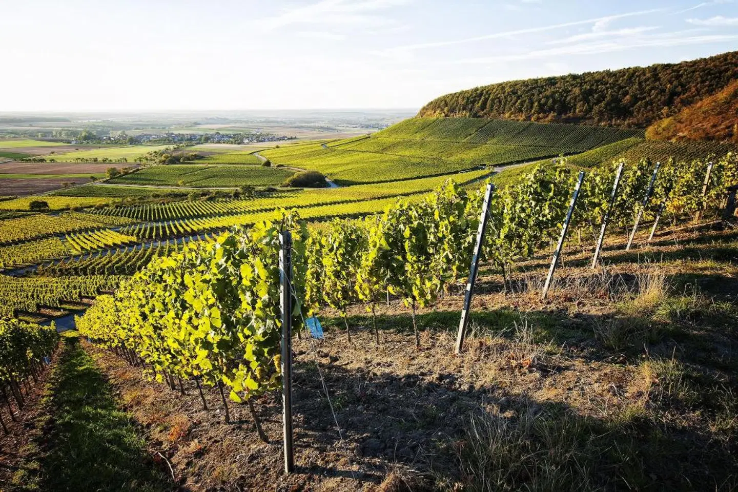 Vital Hotel An Der Therme LANDSCAPE