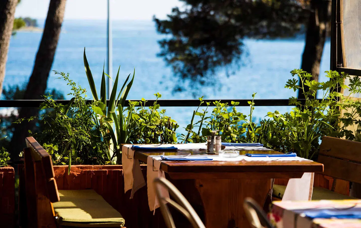 Poljana Camping Village Resort Terrasse