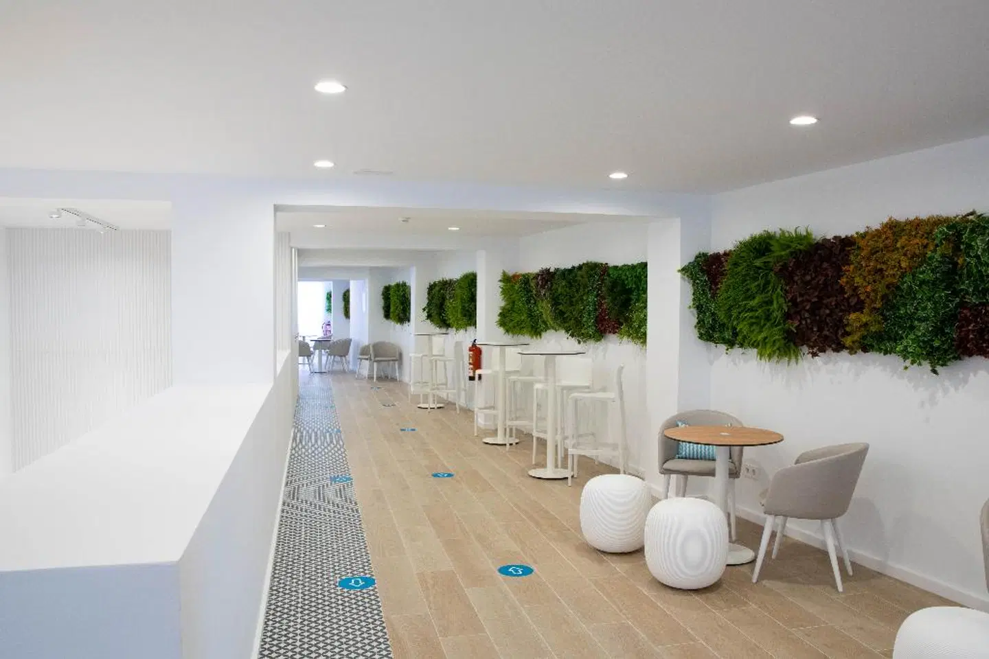 BLUESEA Mediodia Konferenz