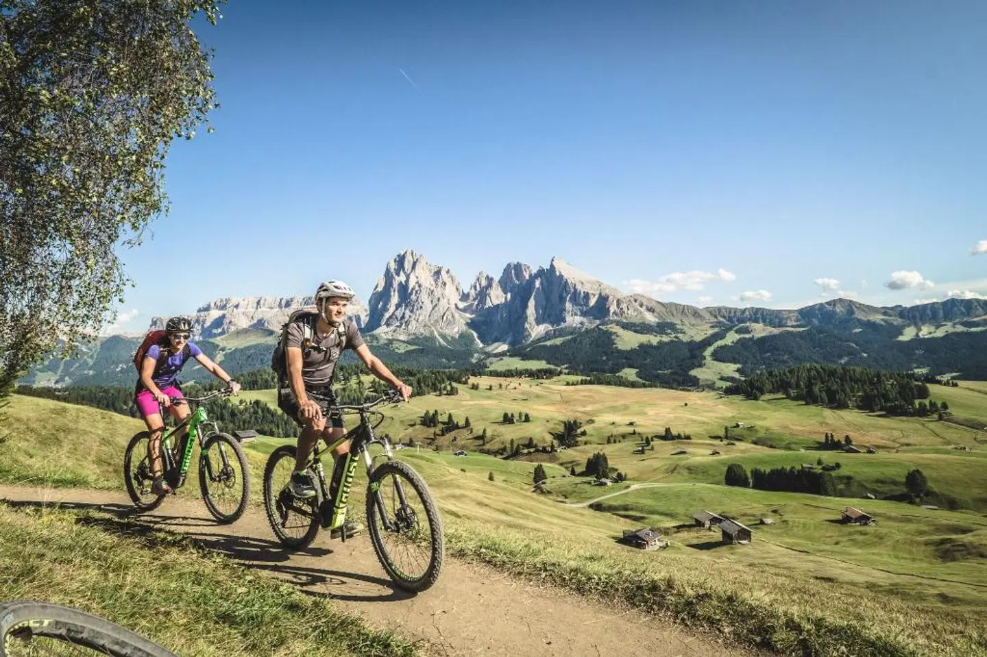 Hotel Adler Dolomiti Spa & Sport Resort LANDSCAPE