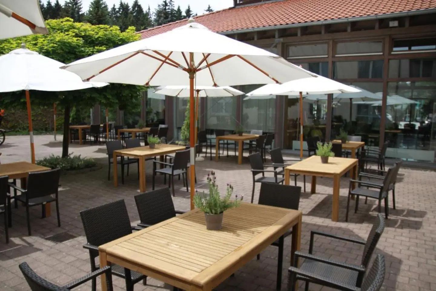 Waldhotel Berghof Terrasse