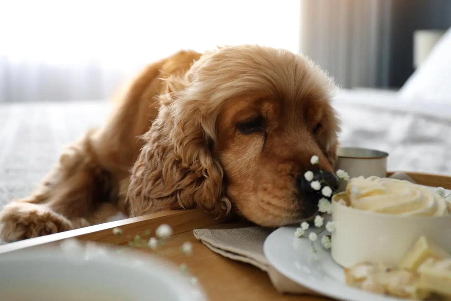 Hotel Indigo San Diego - Gaslamp Quarter PEOPLE