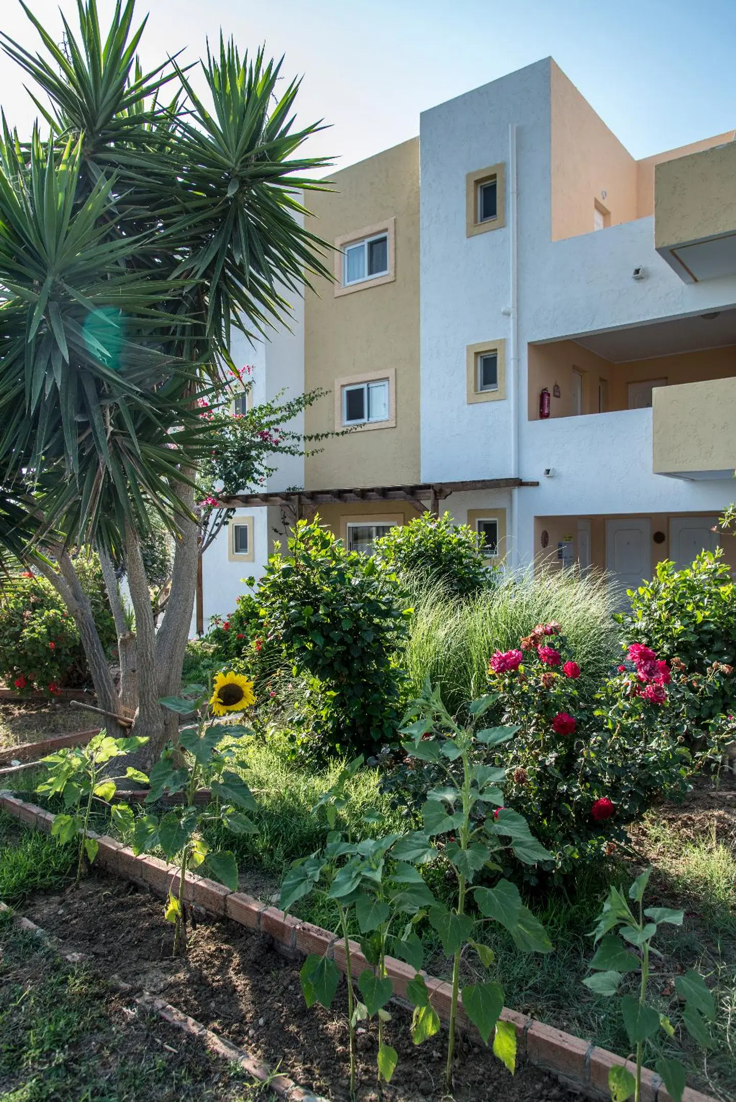 Byron Apartments EXTERIOR