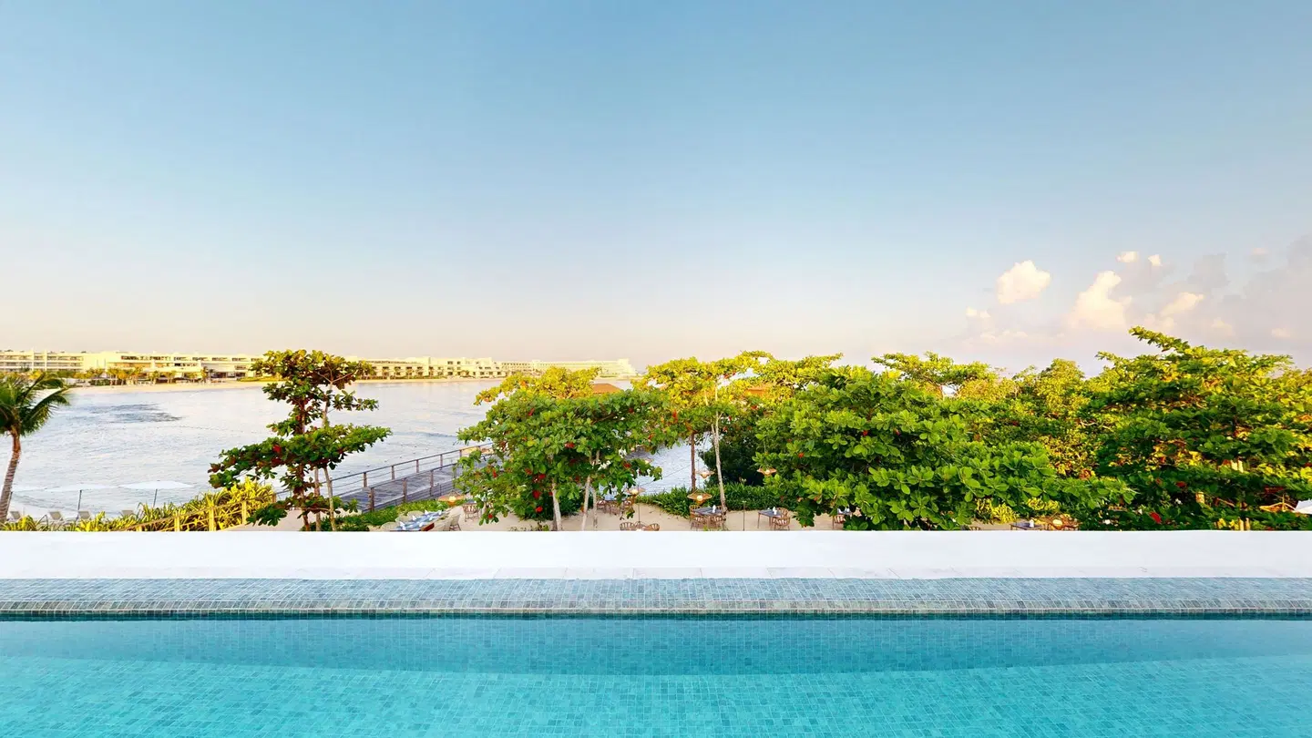 Princess Senses the Mangrove Strand