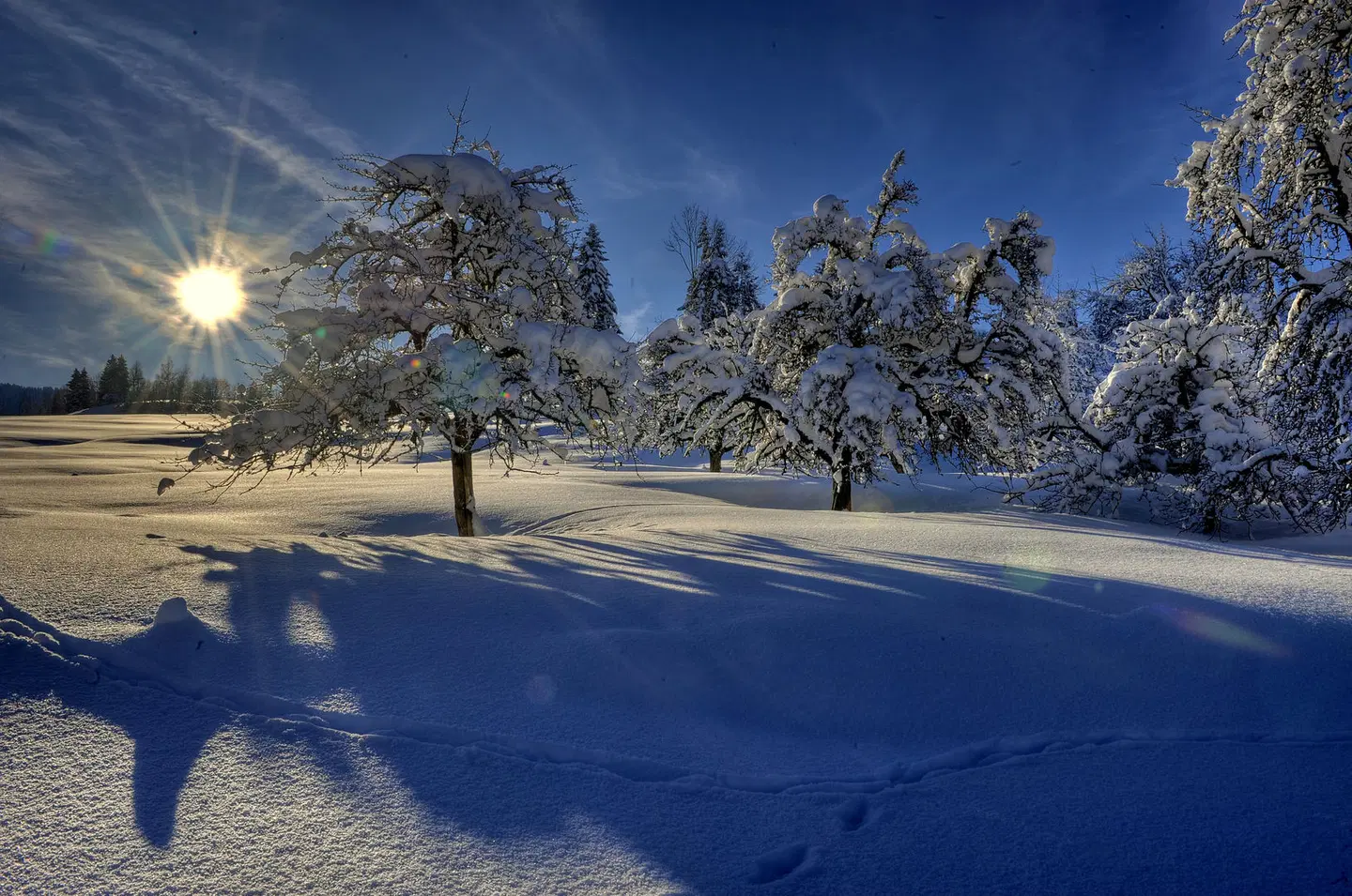 Golf & Alpin Wellness Resort Hotel Ludwig Royal OUTDOOR_POOL