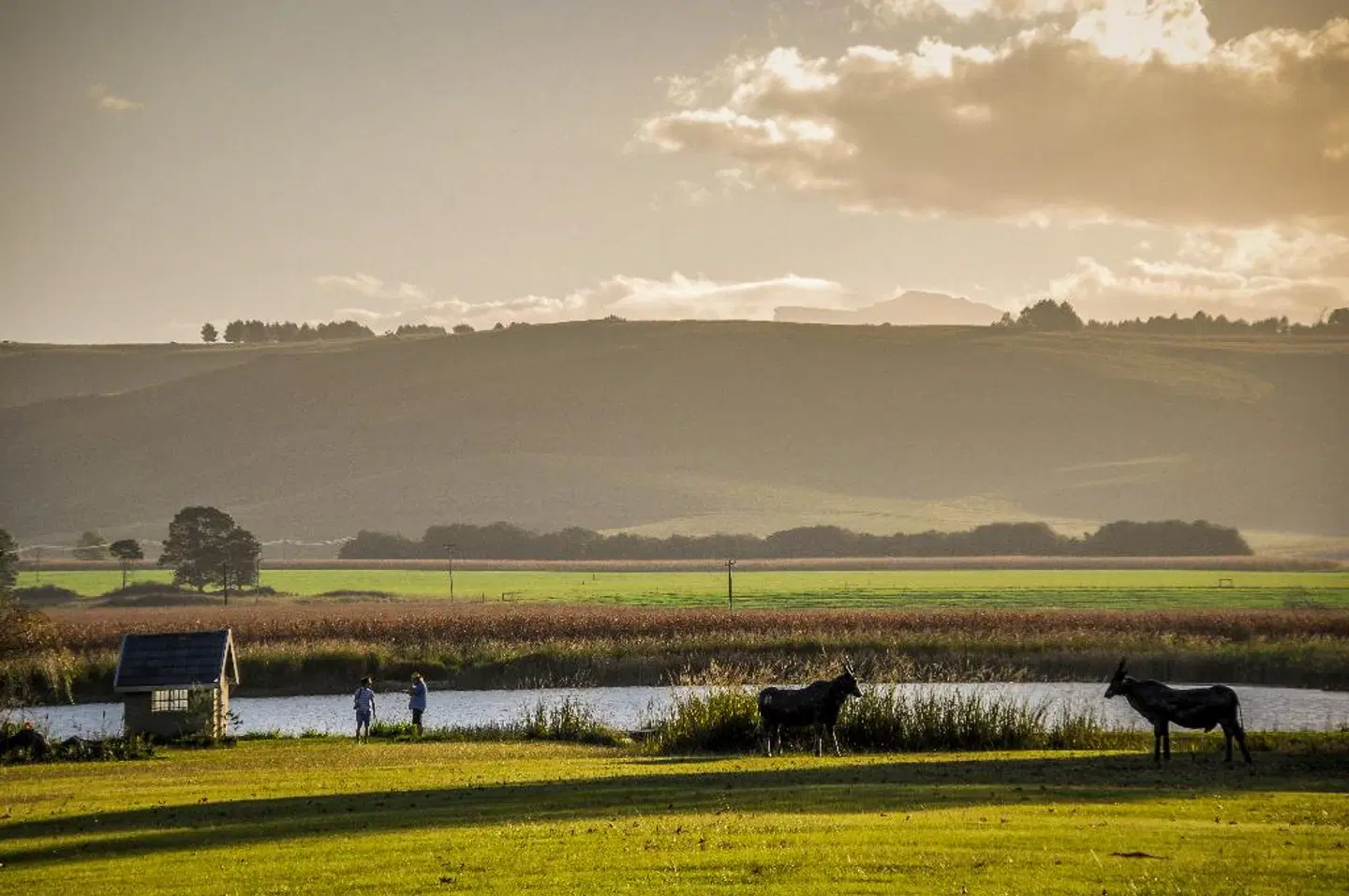 Moorcroft Manor Tiere